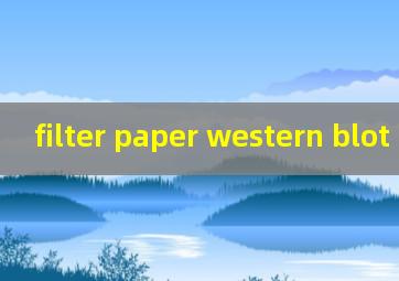  filter paper western blot
